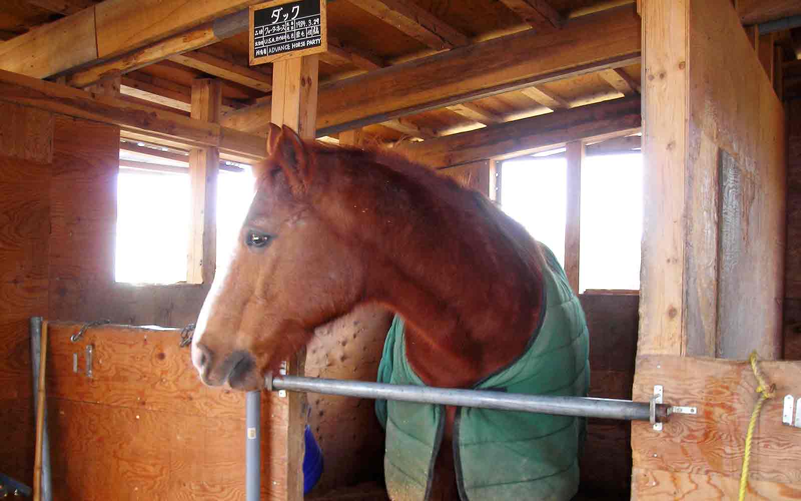 アドバンス ホースパーティー 那須高原で遊ぶ 那須高原の貸切温泉 ペンションタム 公式webサイト