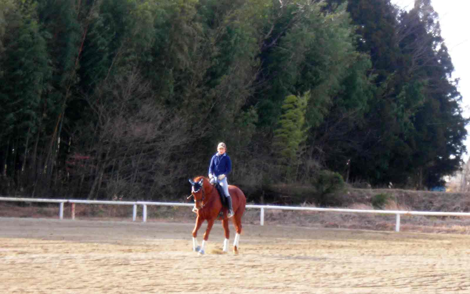 アドバンス ホースパーティー 那須高原で遊ぶ 那須高原の貸切温泉 ペンションタム 公式webサイト
